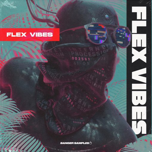 Banger Samples - Flex Vibes [Art Cover]